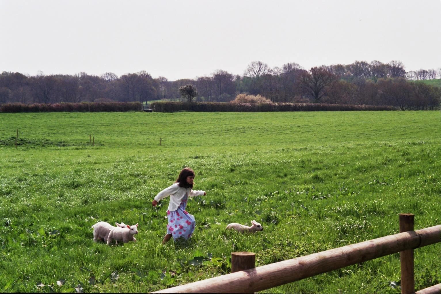 Young Caroline running with lambs on the family farm in Wiltshire
